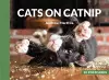 Cats on Catnip: 20 Postcards cover
