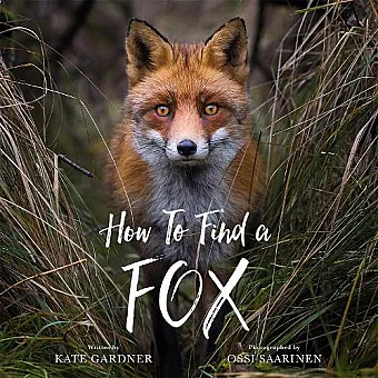 How to Find a Fox cover