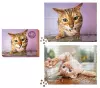 Cats on Catnip 2-in-1 Double-Sided 1,000-Piece Puzzle cover