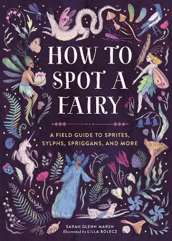 How to Spot a Fairy cover