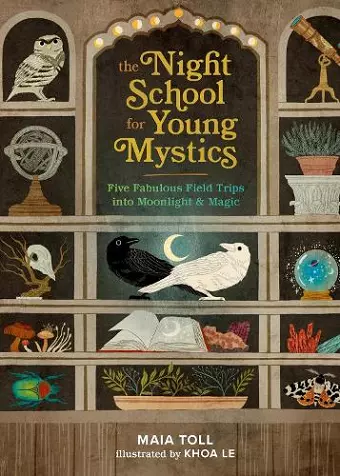 The Night School for Young Mystics cover