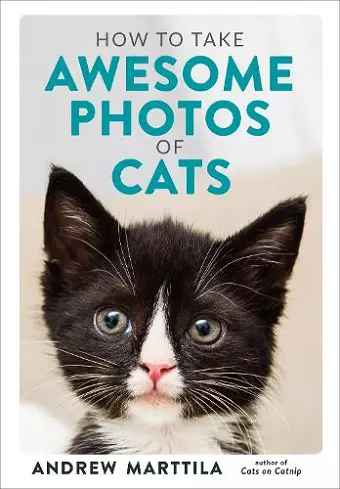 How to Take Awesome Photos of Cats cover