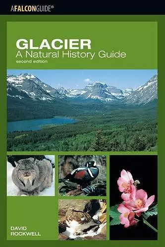 Glacier: A Natural History Guide cover