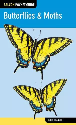 Butterflies & Moths cover