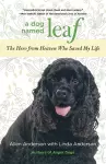 Dog Named Leaf cover