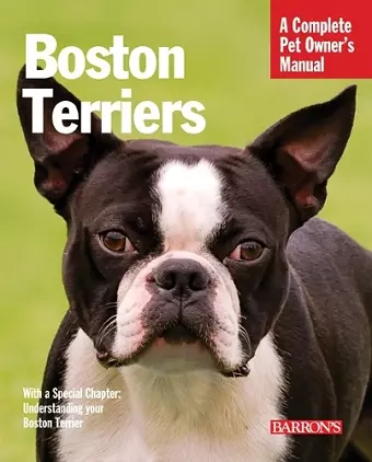 Boston Terriers cover