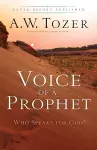 Voice of a Prophet – Who Speaks for God? cover