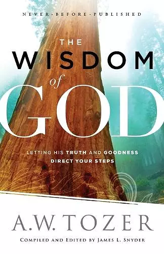 The Wisdom of God – Letting His Truth and Goodness Direct Your Steps cover