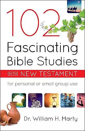 102 Fascinating Bible Studies on the New Testament cover