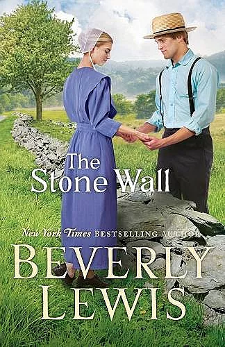 The Stone Wall cover