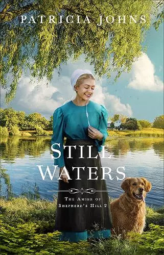 Still Waters cover