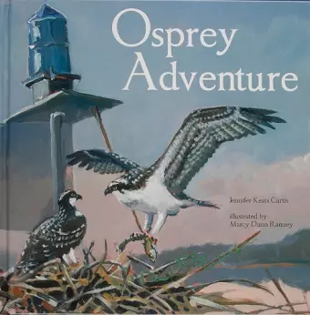 Osprey Adventure cover