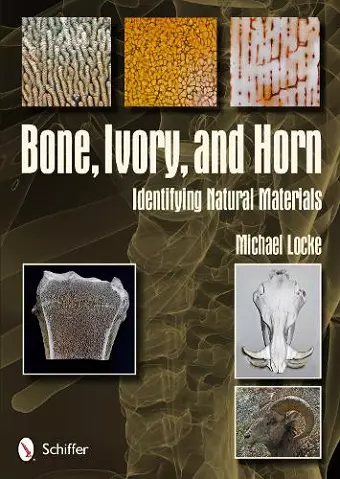 Bone, Ivory, and Horn cover