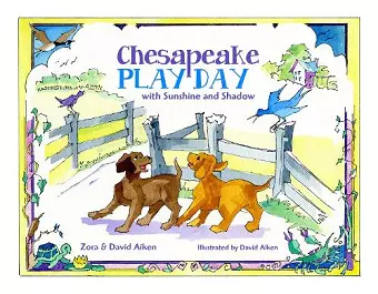 Chesapeake Play Day cover