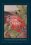 Celtic Book of the Dead cover