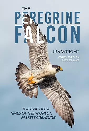 The Peregrine Falcon cover