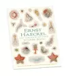 Ernst Haeckel Art Forms in Nature Sticker Book cover