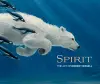 Spirit the Art of Robert Bissell cover