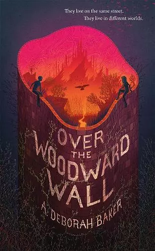 Over the Woodward Wall cover