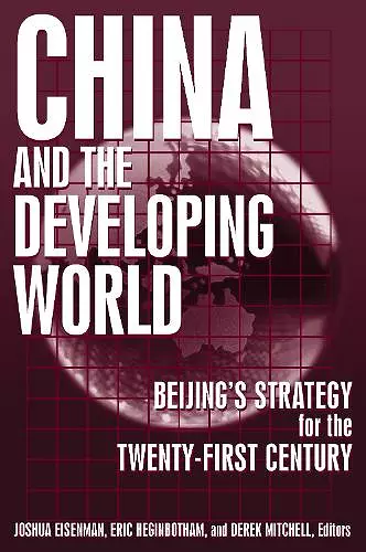 China and the Developing World cover