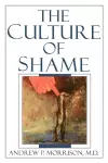 The Culture of Shame cover