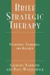 Brief Strategic Therapy cover