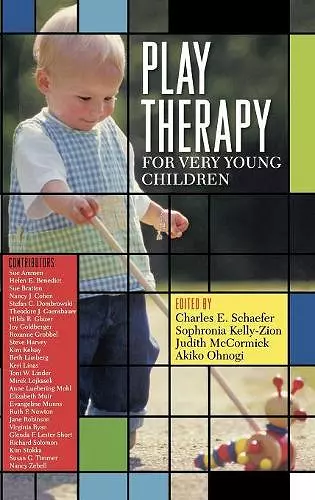 Play Therapy for Very Young Children cover