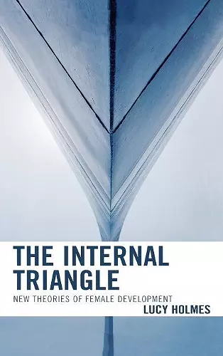 The Internal Triangle cover