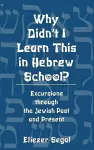 Why Didn't I Learn This in Hebrew School? cover