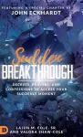 Sudden Breakthrough cover