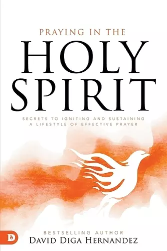 Praying in the Holy Spirit cover