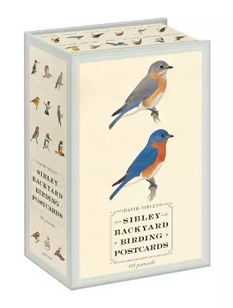 Sibley Backyard Birding Postcards cover
