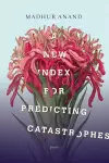 A New Index for Predicting Catastrophes cover