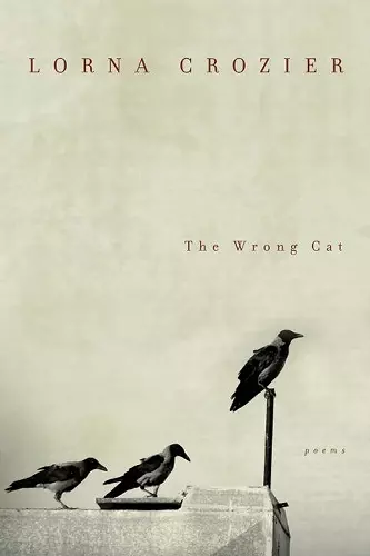 The Wrong Cat cover