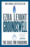 Groundswell cover