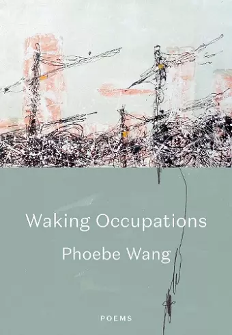 Walking Occupations cover