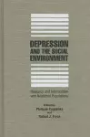 Depression and the Social Environment cover