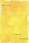 A Dream of Sulphur cover