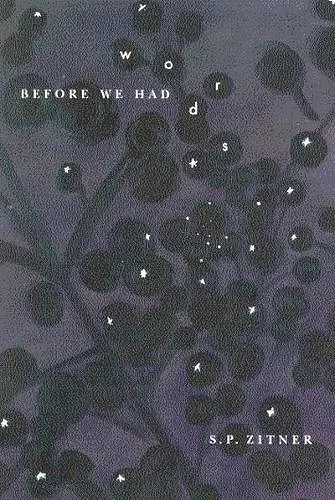 Before We Had Words cover