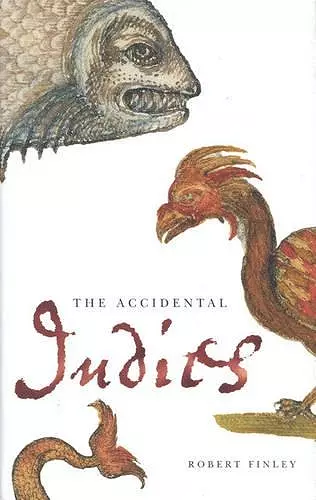 The Accidental Indies cover