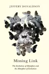 Missing Link cover