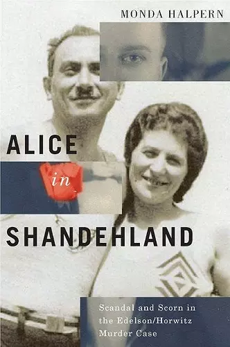 Alice in Shandehland cover