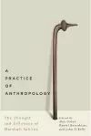 A Practice of Anthropology cover