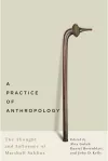 A Practice of Anthropology cover