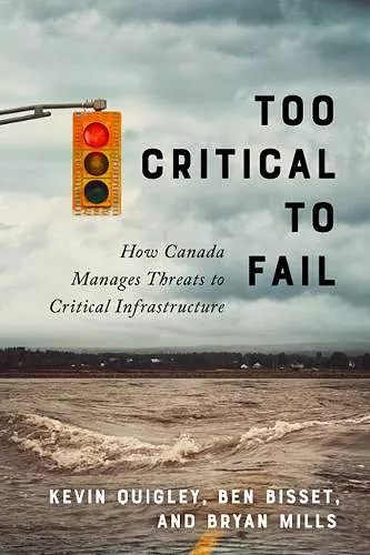 Too Critical to Fail cover