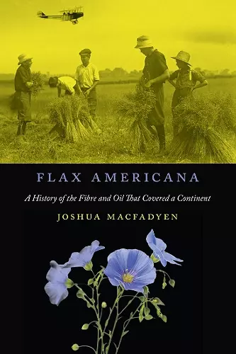 Flax Americana cover