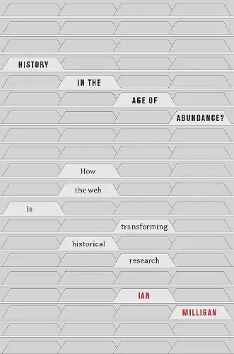 History in the Age of Abundance? cover