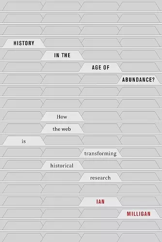 History in the Age of Abundance? cover