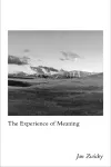 The Experience of Meaning cover
