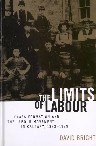 The Limits of Labour cover